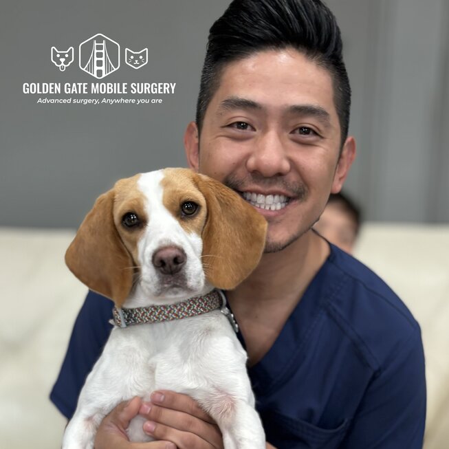 Dr. Kim Tong of Golden Gate Mobile Surgery holding a dog, the surgeon who performed both of Zoey's fracture repairs.