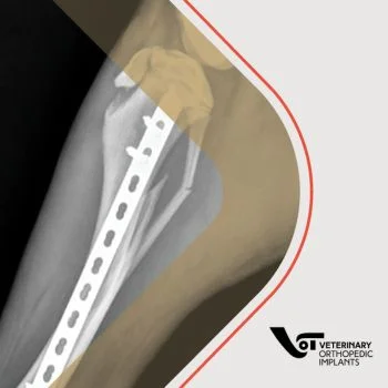 Veterinary Fracture Repair CE Workshop