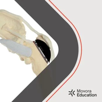 Movora Patellar Lucation Veterinary Workshop