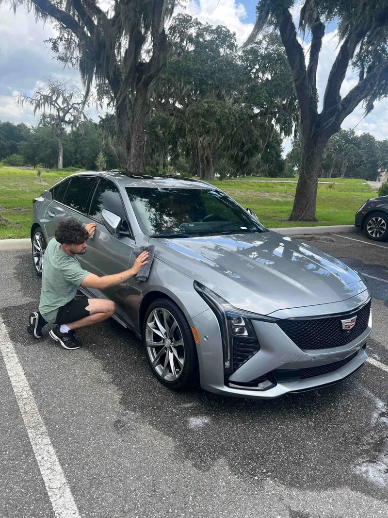 Silver Cadillac parked under oak trees