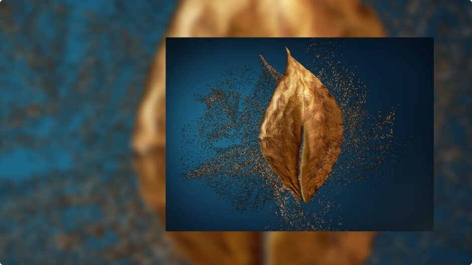 What is tobacco
