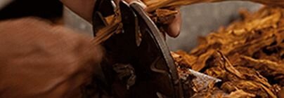 Savor True Tobacco Taste