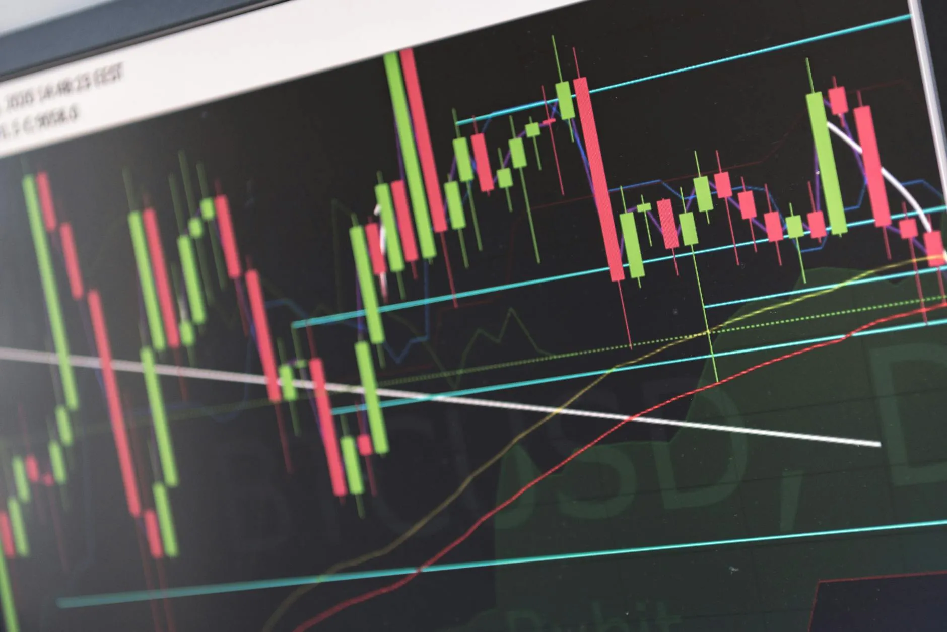 Fragile Sentiment, Geopolitical uncertainty, Volatile Oil prices 