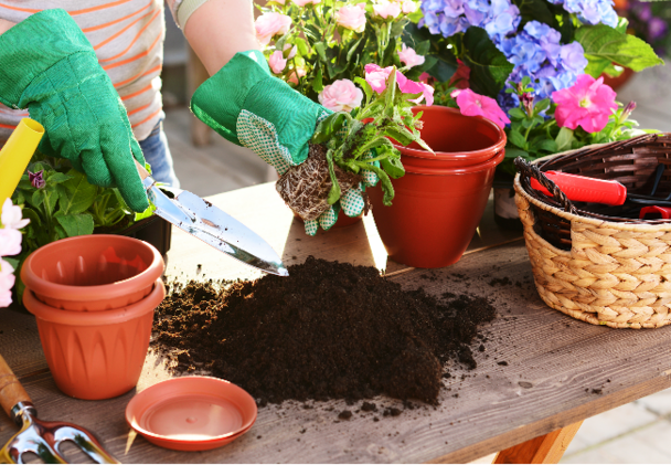 Garden Tools