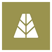 Agora