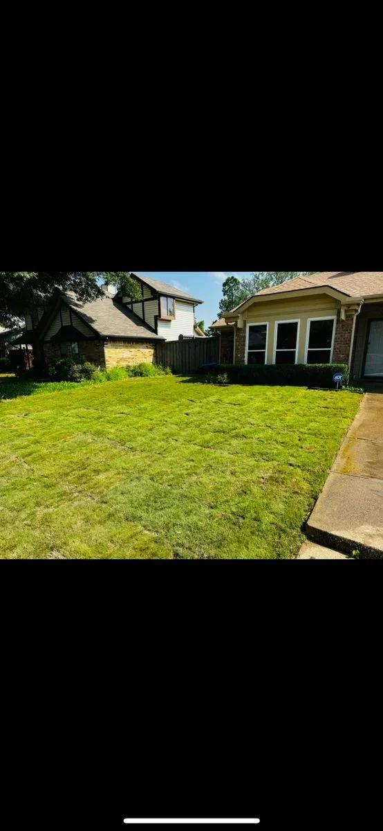 Freshly installed lawn at a residential Texas home