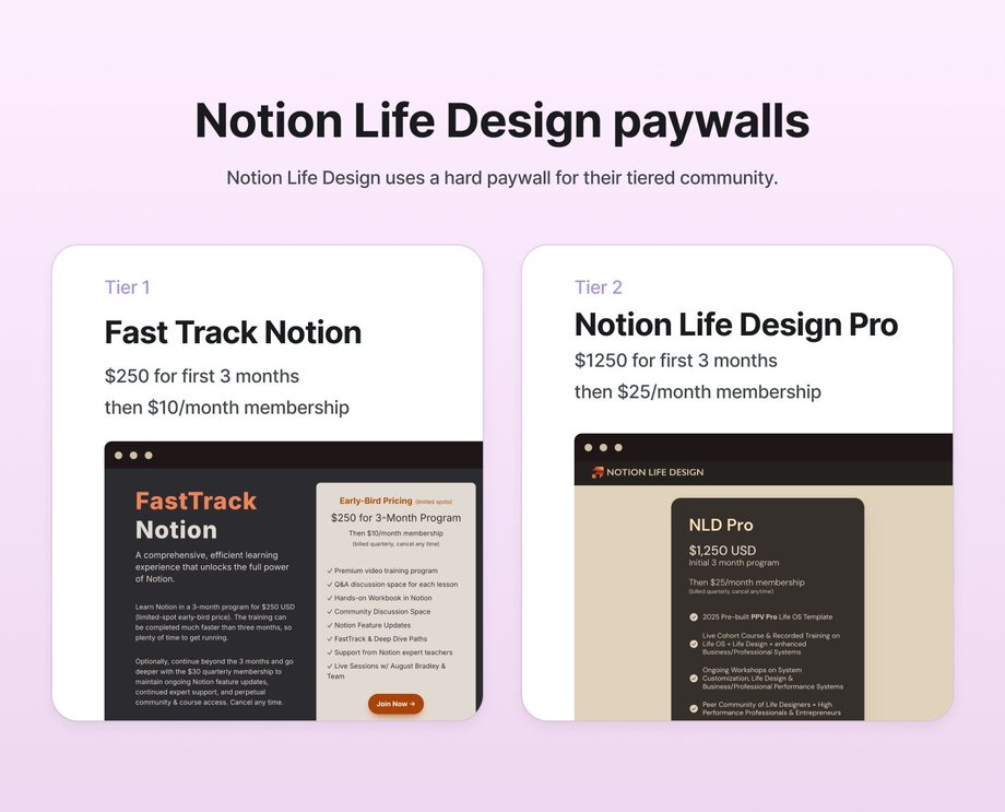 Diagram showing Notion Life Design's hard paywall structure with two tiers of cohort memberships on a light purple background. Tier 1 'Fast Track Notion' costs $250 for first 3 months then $10/month. Tier 2 'Notion Life Design Pro' costs $1250 for first 3 months then $25/month. Both tiers connect to a community section with separated spaces for each membership level.