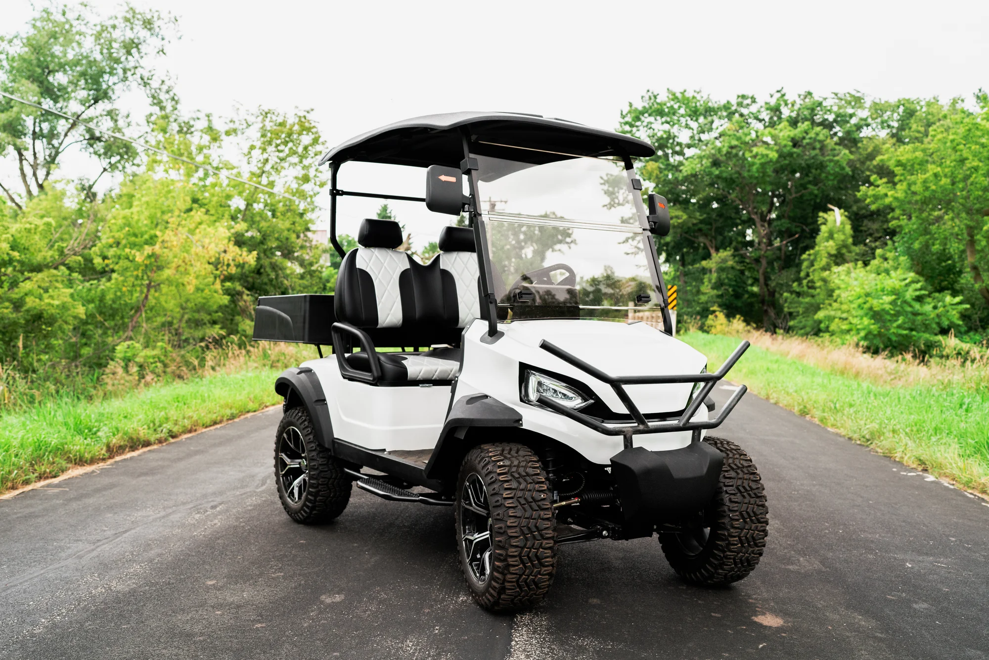 Our Exceptional Electric Golf Carts