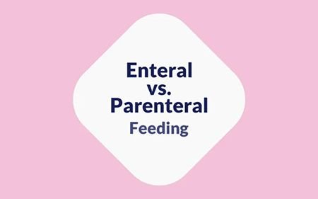 Enteral Vs Parenteral Feeding