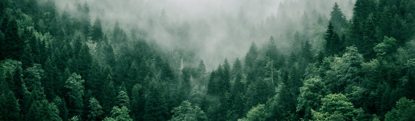 Demo Article 5 header image