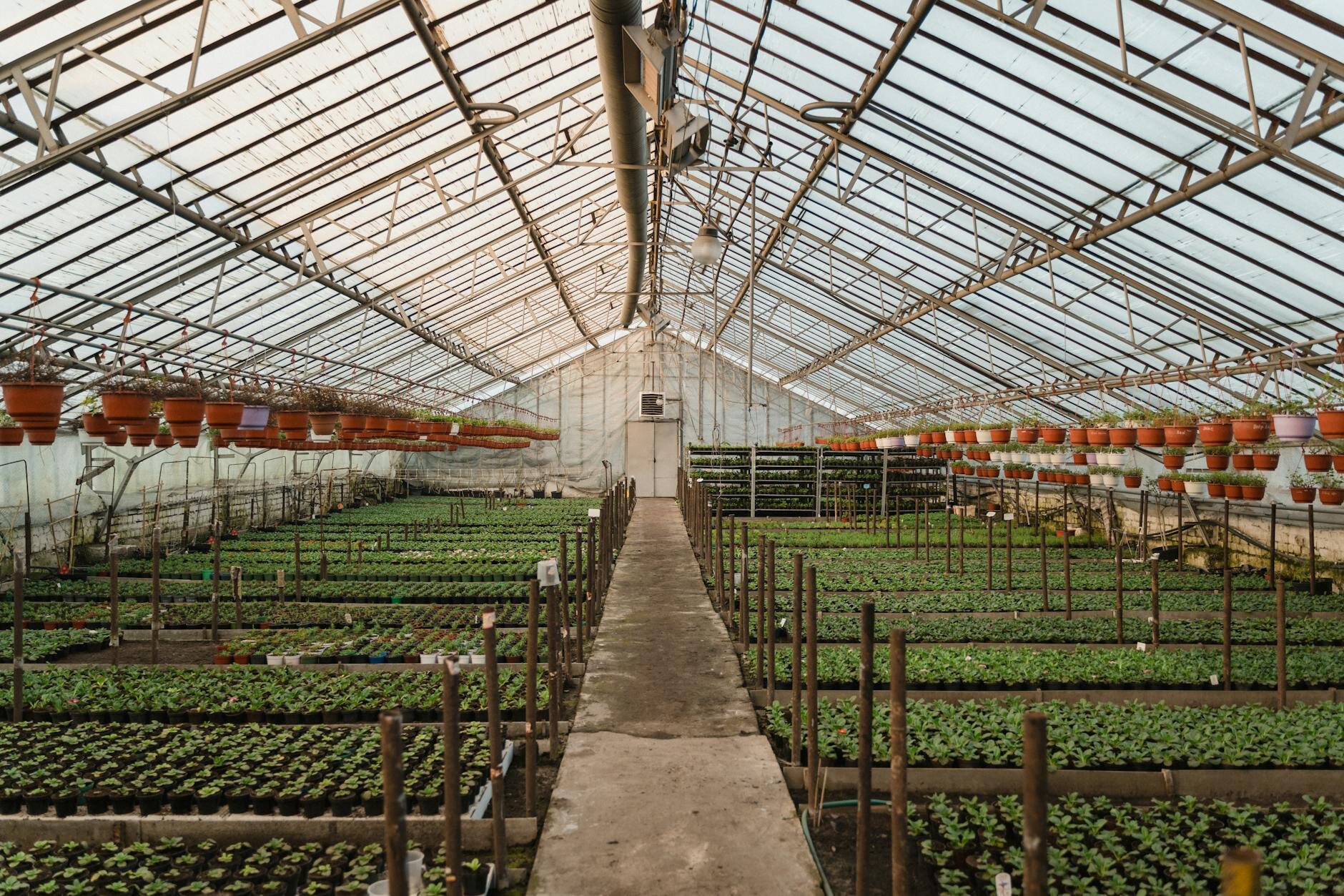Greenhouse Operations