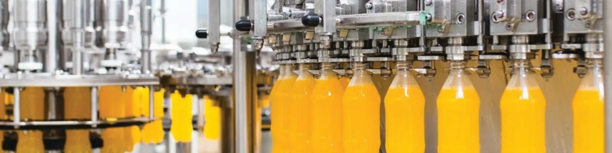 Blog Content - Province - https://cdn.builder.io/api/v1/image/assets%2Fd96fe6595243498081d815fe03062cfa%2F172db1a12c3a4f82b32b7033ab93e8e7?format=webp