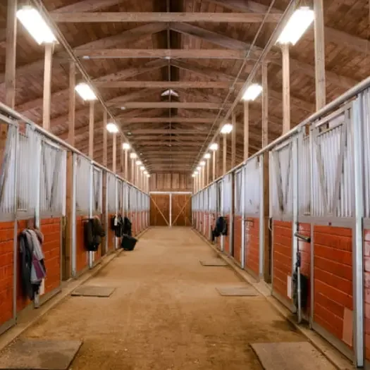 Barn & Livestock Lighting