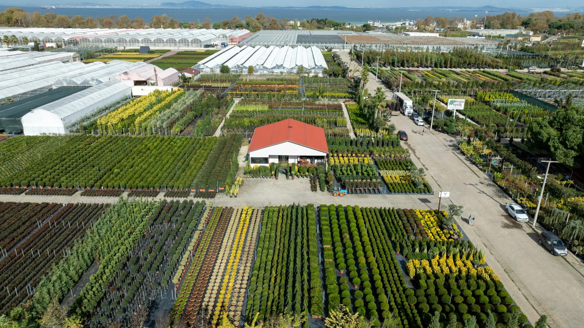 Agriculture