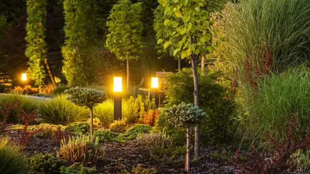 Take It Outside - Caséta Outdoor Smart Control