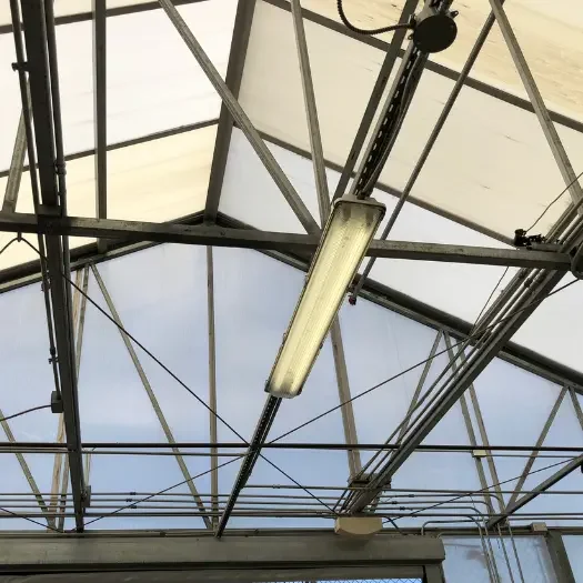 Lighting for Barns, Greenhouses, and Yard Areas