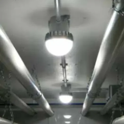 Lighting for Plant Areas