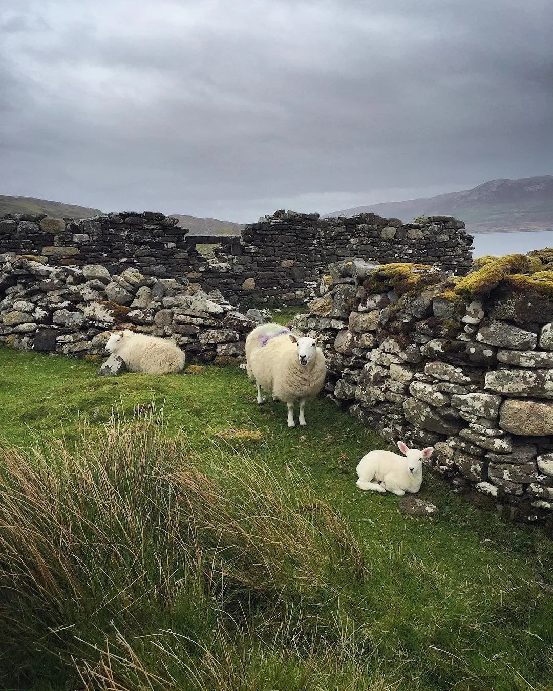 Things to do on the Isle of Skye