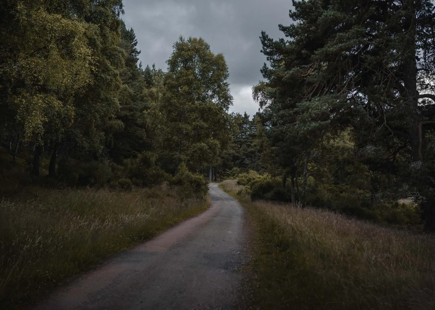 The Tower O'Ess Glen Tanar