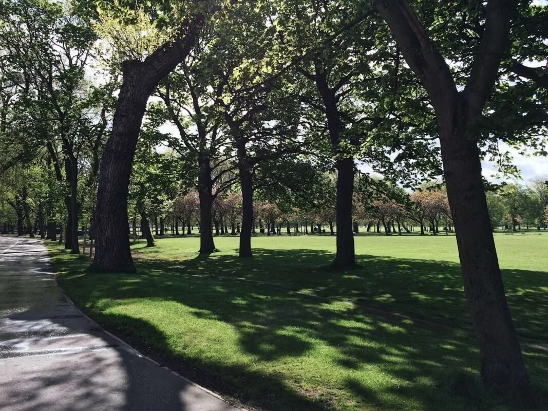 4. The Meadows