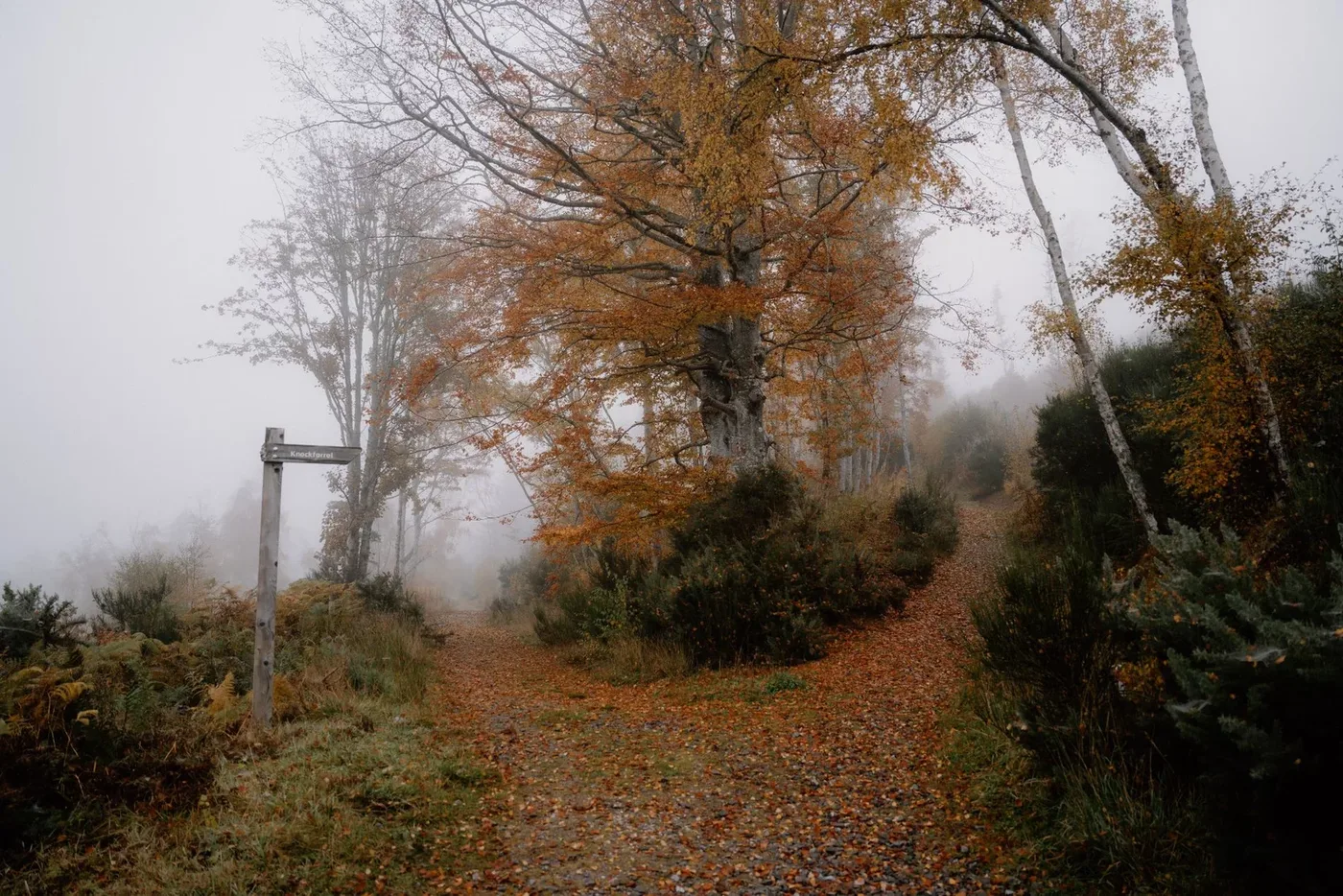 Unraveling the Mysteries of the Touchstone Maze in Strathpeffer