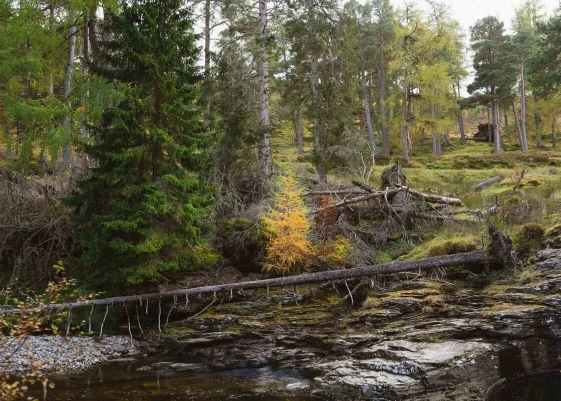 Things to do in Royal Deeside