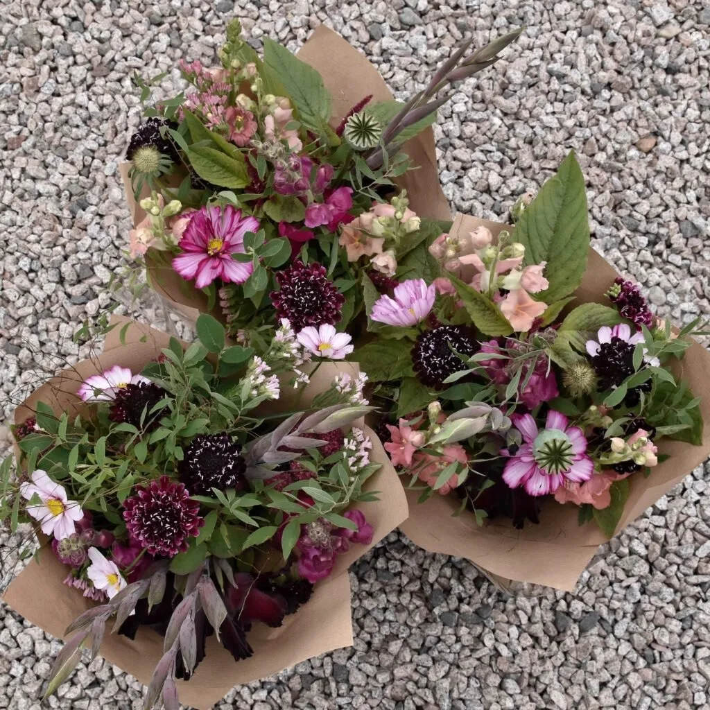 Meet florist Hollie Berries