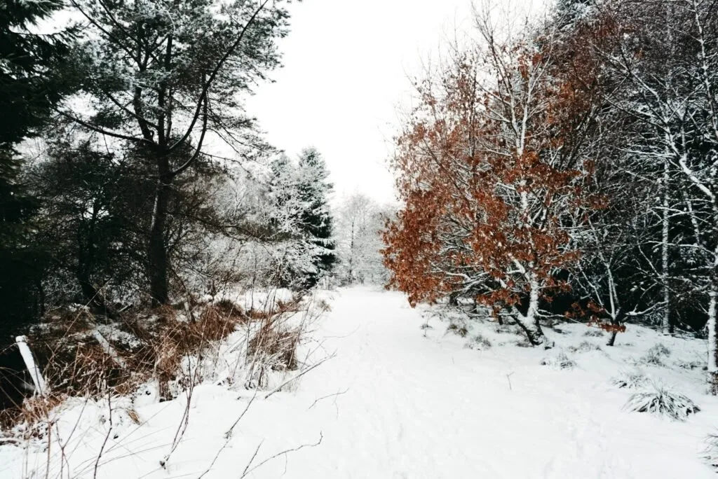 10 Child Friendly Walks in Aberdeenshire