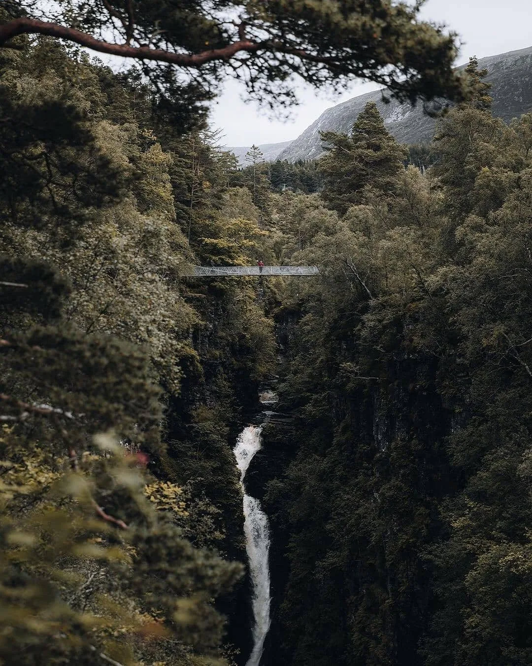 Corrieshalloch Gorge