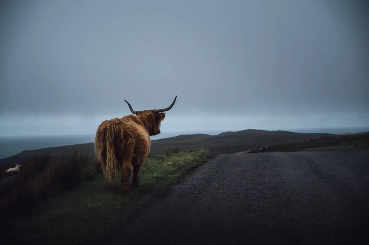72 Hours in Torridon