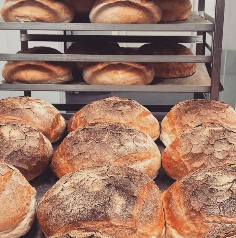 Bread makers of the North-east