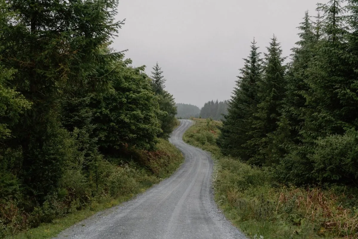 Raiders’ Road Forest Cycle Route