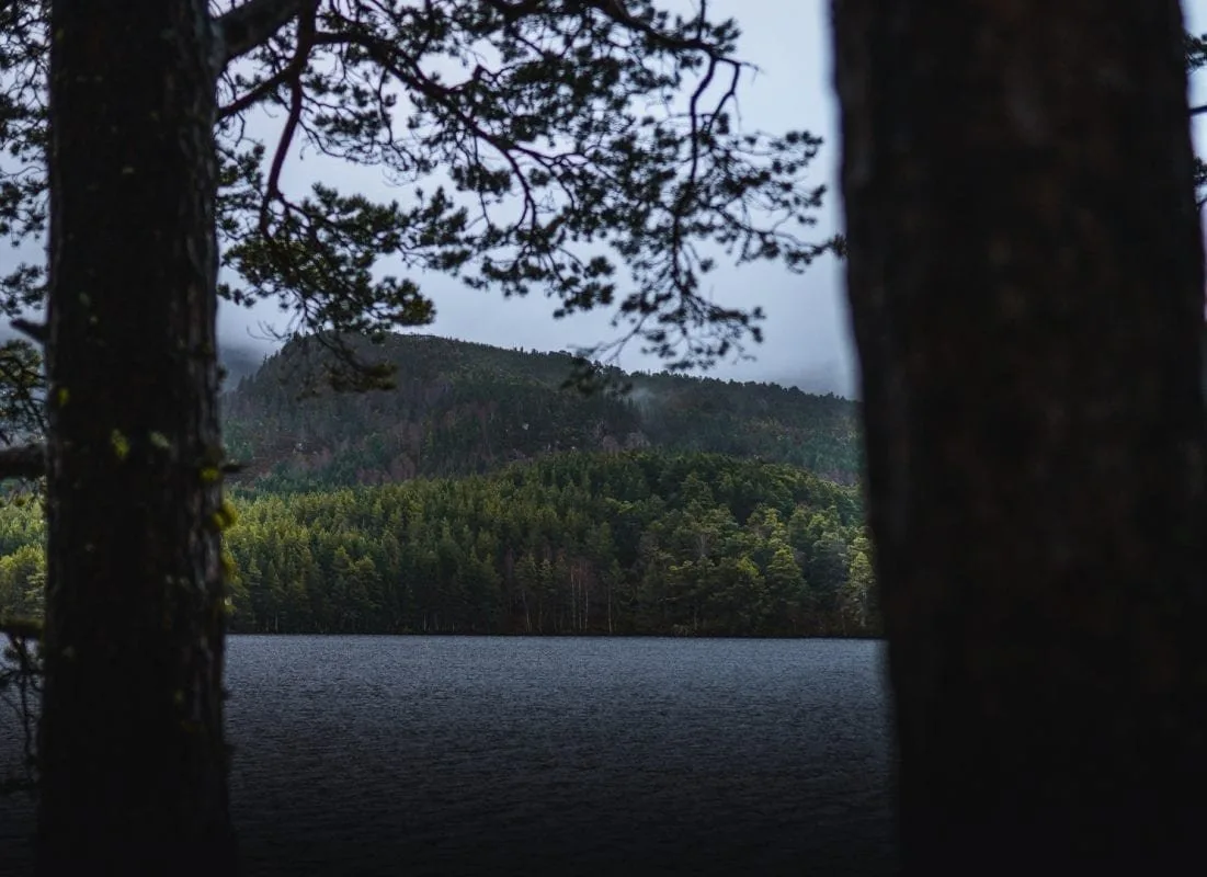 The Wolf's Lair - Loch an Eilein