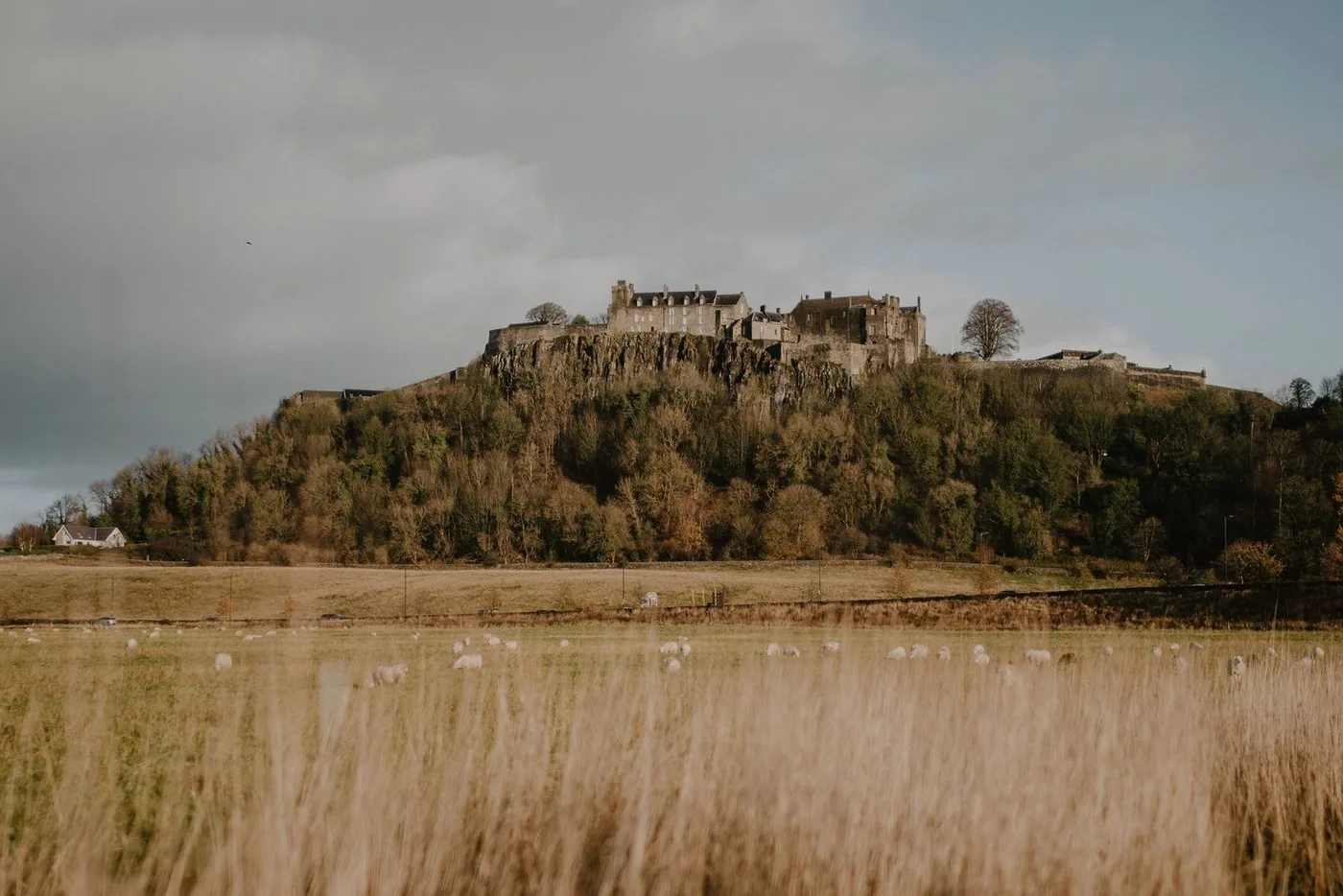 The Siege of Stirling Castle