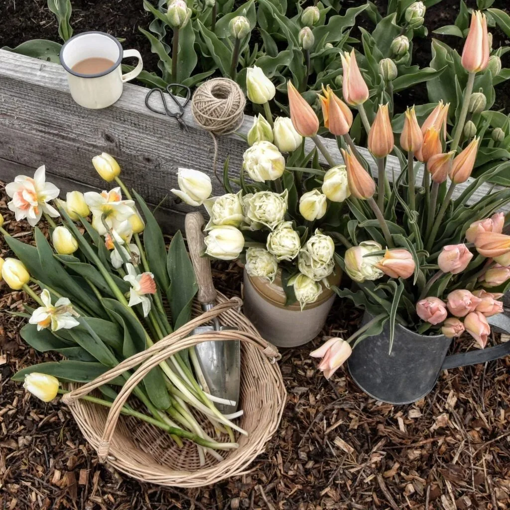 Meet florist Hollie Berries