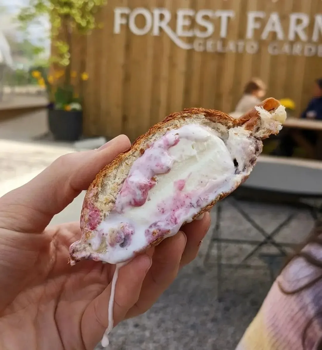 Where to Get Ice Cream in Aberdeen and Aberdeenshire