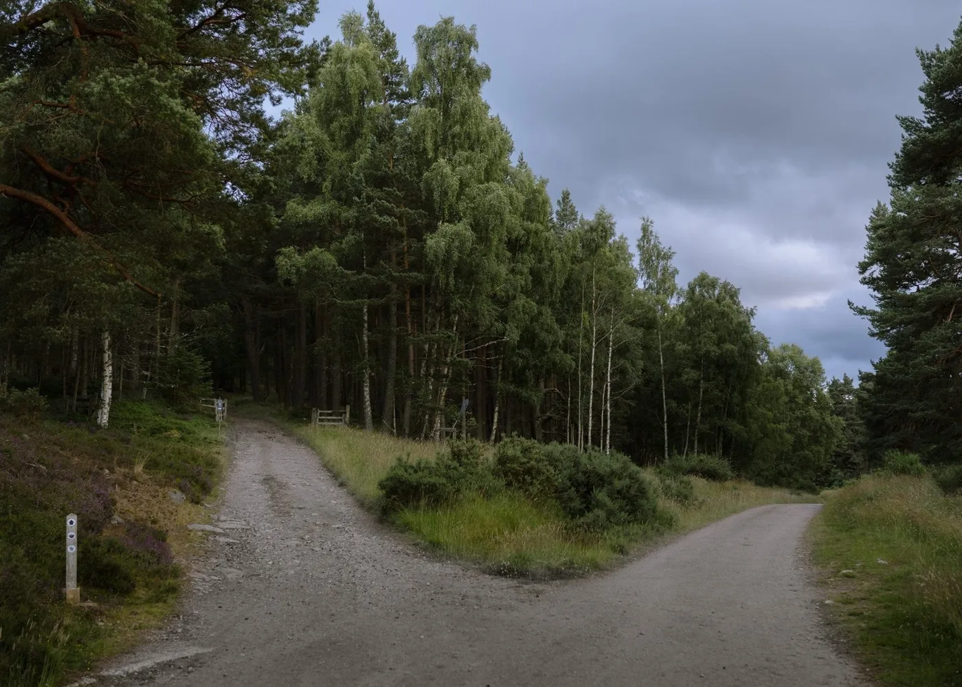 The Tower O'Ess Glen Tanar