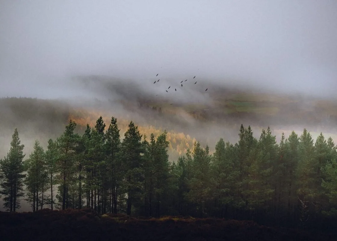 Things to do in Royal Deeside