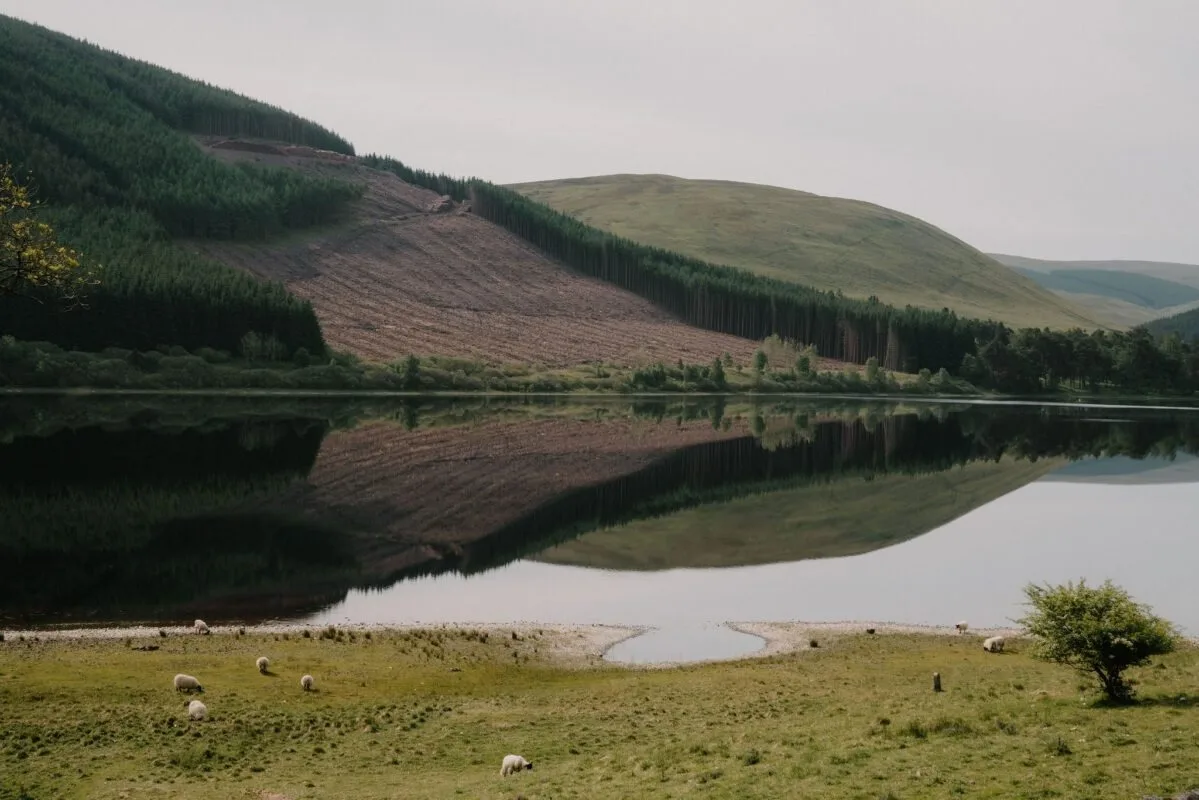 St Mary’s Loch