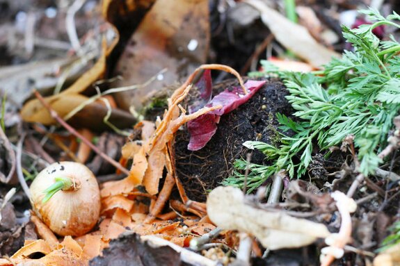 Komposthaufen mit Küchenabfällen und Pflanzenresten