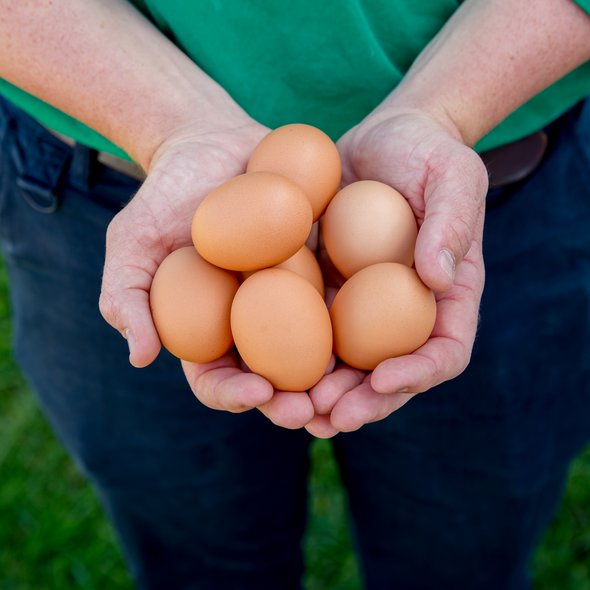 A handful of Forage Farms Pasture Raised Eggs