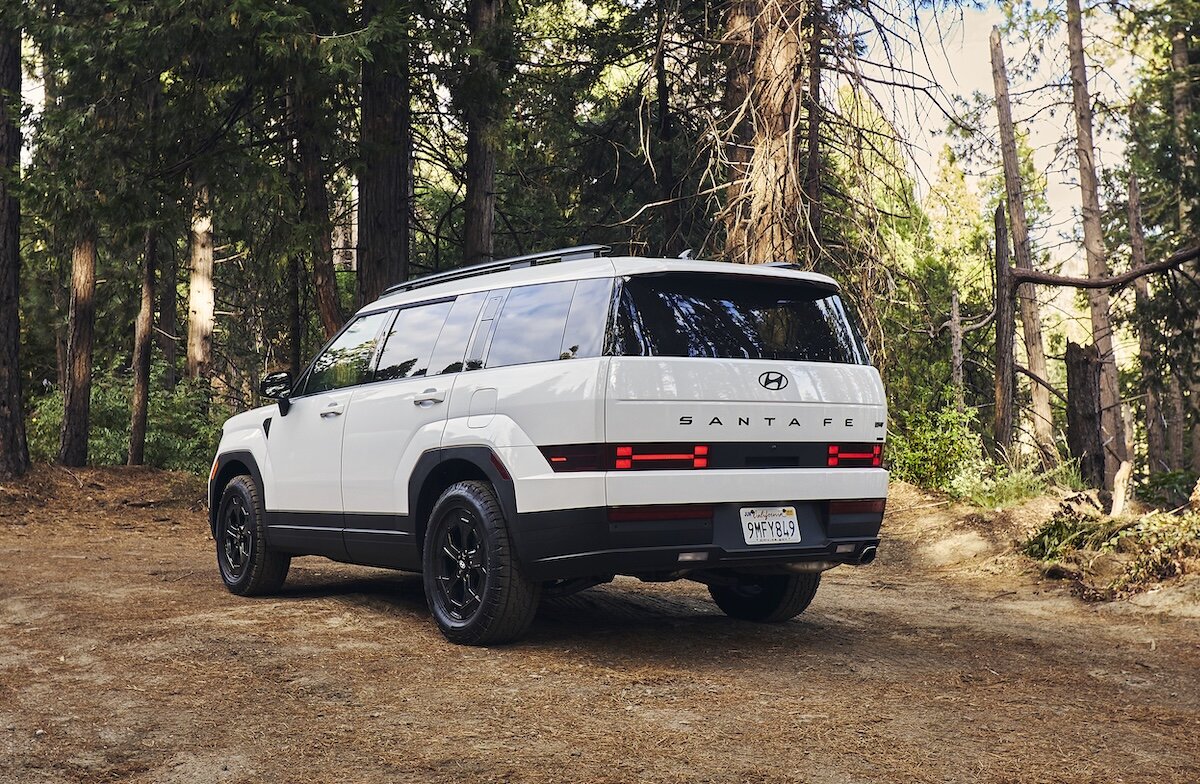 A car guru, happy to have purchased a car.