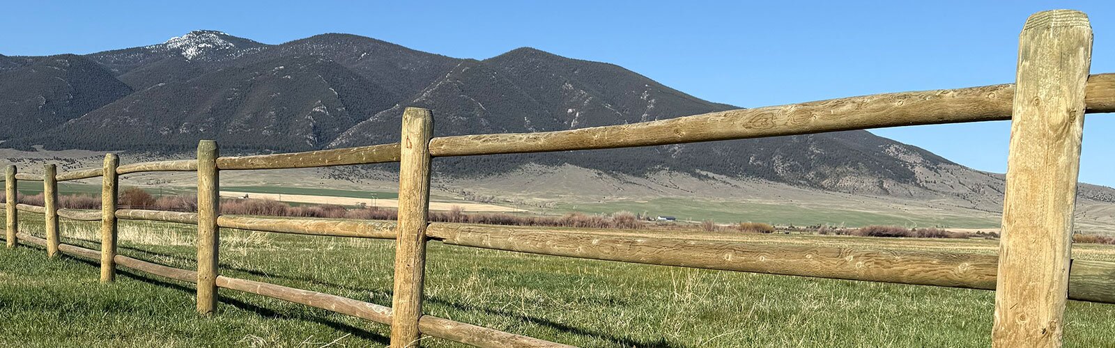 Fence