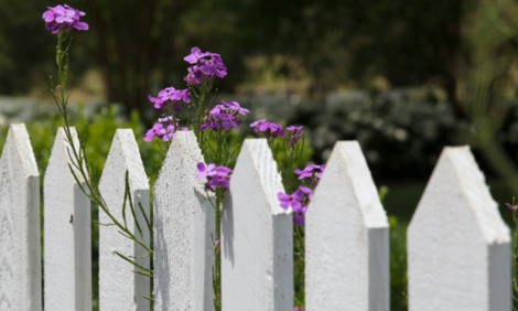 Fence