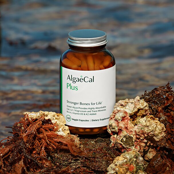 AlgaeCal Plus bottle on a rock with the ocean in the background