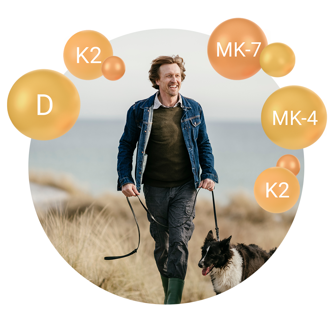 a man walking his dog through a field - bubbles with D, K2, MK-7, MK-4 surround him