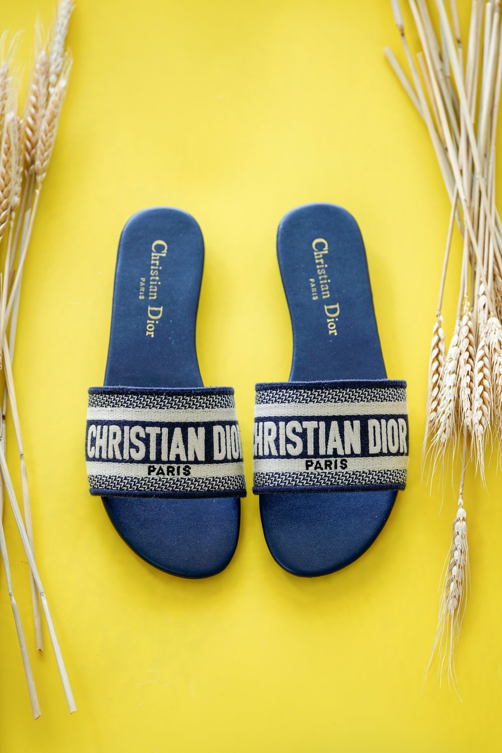 Christian Dior slides on a yellow background