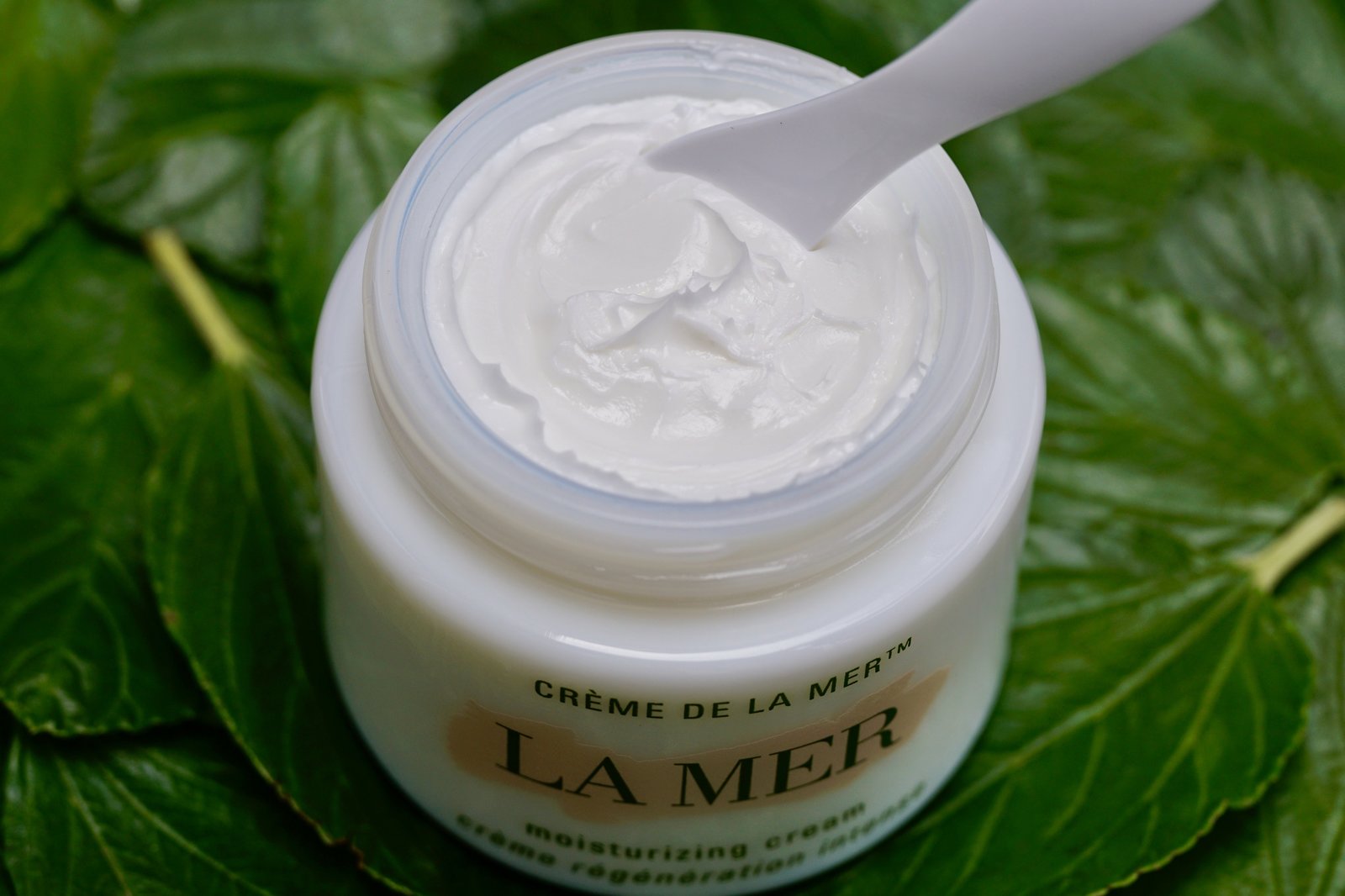Close up of an open crème de la mer cream pot on a bed of leaves