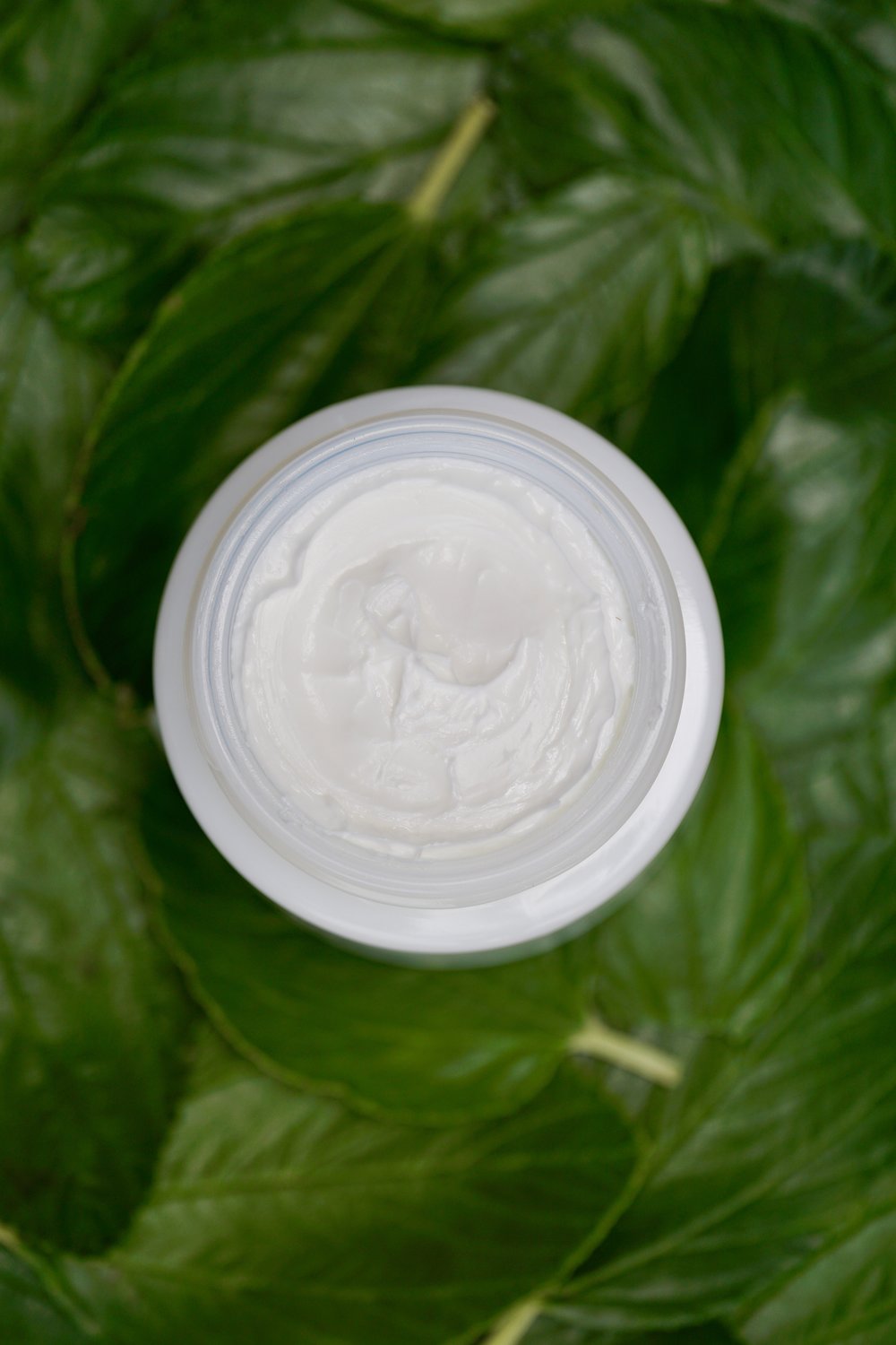 Open crème de la mer cream pot on a bed of leaves