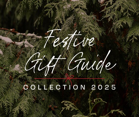 Le guide d’idées cadeaux. Collection 2025. Image de fond d'un sapin de Noël.